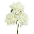 Floristik24 Foam Rose Ø7.5cm Cream 18 pcs