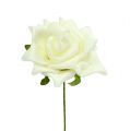 Foam Rose Ø7.5cm Cream 18 pcs | Floristik24.ie