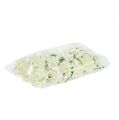 Foam Rose Ø7.5cm Cream 18 pcs | Floristik24.ie
