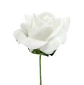 Foam Rose Ø 3.5cm white 48 pcs | Floristik24.ie