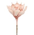 Floristik24 Foam flower magnolia pink Ø15cm L65cm