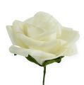 Foam Rose Ø6cm Cream 27 pcs | Floristik24.ie