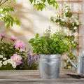 Decorative bucket flower pot metal with rope handles Ø20cm | Floristik24.ie