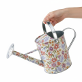 Decorative metal watering can, vintage planter for flowers, Ø18cm | Floristik24.ie