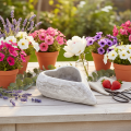 Decorative heart-shaped bowl, grey; small heart-shaped planter, 19cm | Floristik24.ie