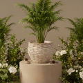 Round woven basket, large decorative basket for planting, 23cm | Floristik24.ie