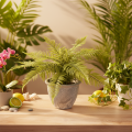 Artificial fern in a plant pot for living room and office, 35cm | Floristik24.ie