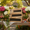 Wooden box with chalkboard for labeling, set of 3, 36cm | Floristik24.ie