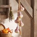 Garlic Decoration for Hanging, Artificial Yellow Purple, L50cm | Floristik24.ie