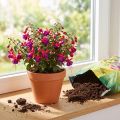 FlorBest Gardener's Potting Soil with Natural Clay and Slow-Release Fertilizer 5l | Floristik24.ie