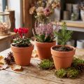 Clay flowerpot Ø9cm high 8cm 10pcs | Floristik24.ie
