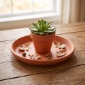Coaster Mediterranean, ceramic bowl terracotta Ø10.7cm | Floristik24.ie