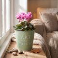 Zinc flower pot, mint green, Ø15cm, H13.5cm | Floristik24.ie