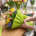 Florist crepe paper May green 50x250cm | Floristik24.ie