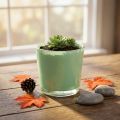 Glass pot Ø10cm H8.5cm mint green | Floristik24.ie