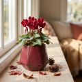 Flower Pot Ceramic Planter Red Hexagonal Ø10cm H9cm | Floristik24.ie