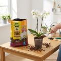 FRUX Soil Orchid Soil (5 Ltr.) | Floristik24.ie