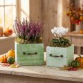 Planter wooden drawer light green 15x15/12x12cm set of 2 | Floristik24.ie
