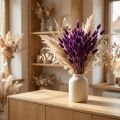 Velvet grass violet, hare's tail grass, Lagurus L20-50cm 25g | Floristik24.ie
