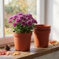Plant Pot Plastic Ø17cm 10pcs | Floristik24.ie