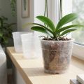 Plant pot for orchids Ø12cm transparent 10pcs | Floristik24.ie