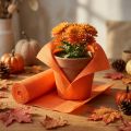 Florist crepe paper orange 50x250cm | Floristik24.ie