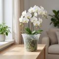 Plastic pot “Irys” Transparent Ø17cm 1 pc | Floristik24.ie