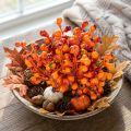 Bunch of orange berries, 20cm long | Floristik24.ie