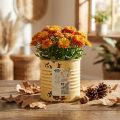 Decorative tin, summer apricot color, metal tin, plant pot, Ø8cm H7.5cm | Floristik24.ie