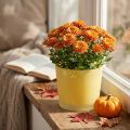 Glass flower pot yellow plant pot glass tub Ø14.5cm H12.5cm | Floristik24.ie
