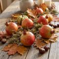 Artificial pomegranate decoration set in a net, deceptively realistic, red-yellow-green, Ø5.5cm, 12 pieces | Floristik24.ie