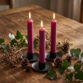 Short candles wax candles in Berry 21×110mm 6 pcs | Floristik24.ie