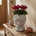 Bust made of cast stone