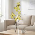 Butterfly branch, artistic