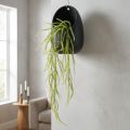 Green bristle millet artificial plant for elegant hanging decorations, stylish room accents, 114cm | Floristik24.ie