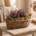 Bread basket approx. 30cm oval unpeeled | Floristik24.ie