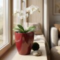 Orchid pot glossy Ø12.5cm Bordeaux 1 pc | Floristik24.ie