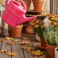 Pink watering can, 5l