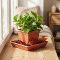 Coaster Lara square 29cm x 29cm terracotta 1 pc | Floristik24.ie