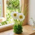 Poppy white in the grass 23cm | Floristik24.ie