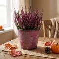 Plant pot with leaf decoration, autumn decoration, metal planter wine red Ø16.5 cm H14.5 cm | Floristik24.ie