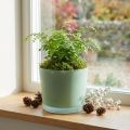 Glass flower pot green planter glass tub Ø14.5cm H12.5cm | Floristik24.ie