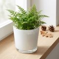 Glass planter white Ø11.5cm H11cm | Floristik24.ie