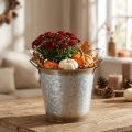 Decorative pot with handles, planting bucket, metal container, silver, weathered steel, Ø17cm H16.5cm | Floristik24.ie