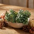 Artificial eucalyptus artificial plants for sticking 18cm 4pcs | Floristik24.ie