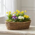 Natural Vine Planting Pot, Oval Flower Pot, 40x19x11.5cm | Floristik24.ie