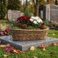 Flower bowl Vine planter Oval Natural 49.5x22x13cm | Floristik24.ie