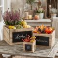 Rustic wooden boxes with chalkboard surfaces – natural &amp; black, various sizes – versatile organizational solution – set of 3 | Floristik24.ie