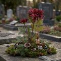 Artificial chrysanthemum in burgundy Ø5cm/Ø11cm L70cm | Floristik24.ie