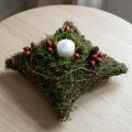Planter with natural vines & moss Cushion 20×20×6.5cm | Floristik24.ie